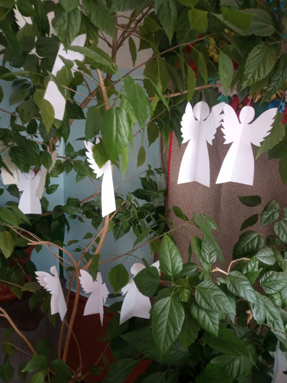 Fb Img 1771657544285